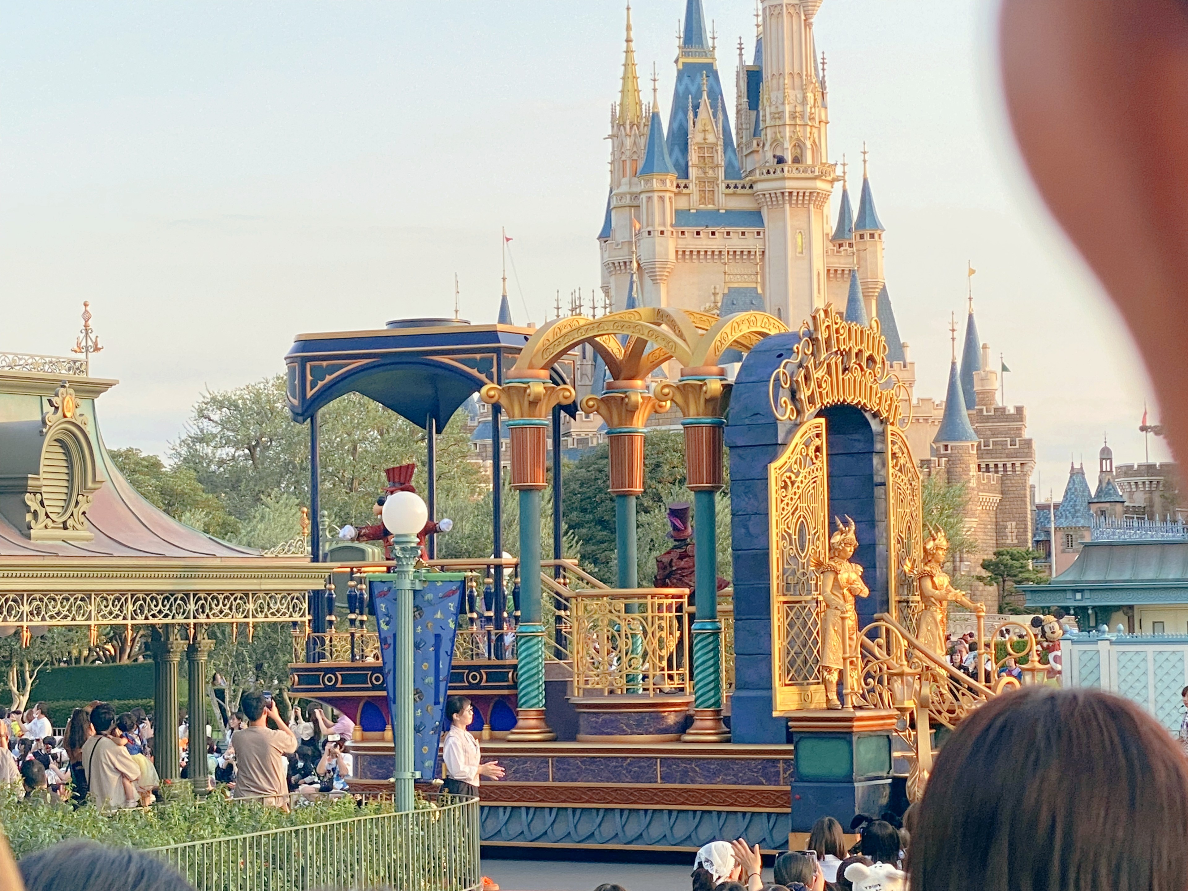 東京ディズニーリゾートの夜景