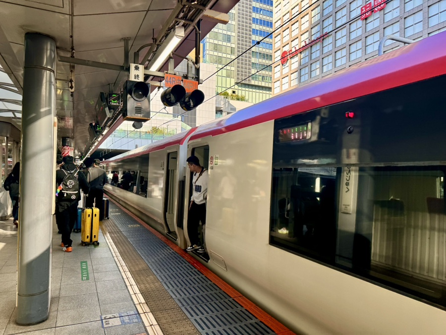 Traveler with luggage looking at a sign