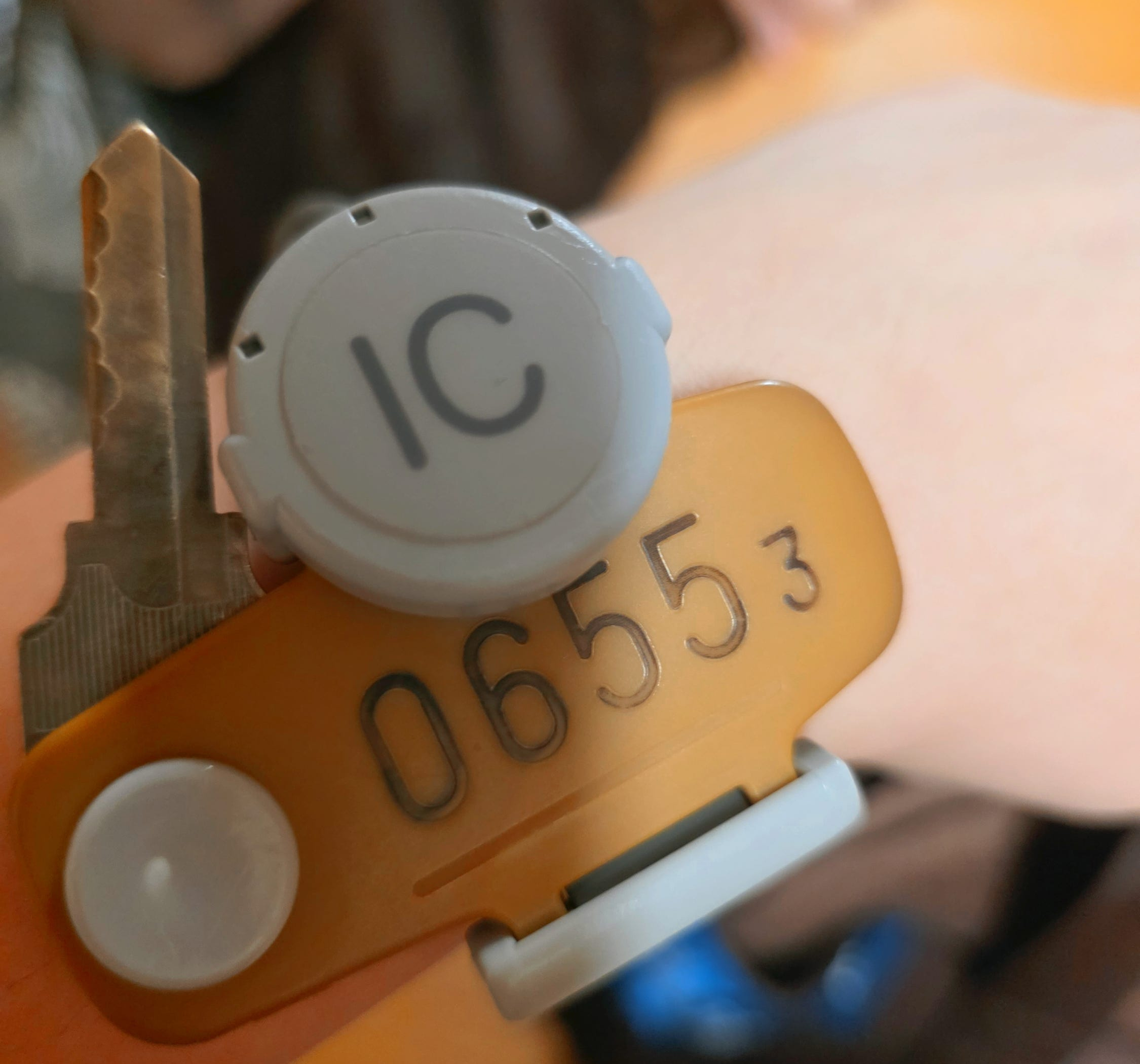 Solaniwa Onsen Osaka: Ultimate Review, Tickets & Tips