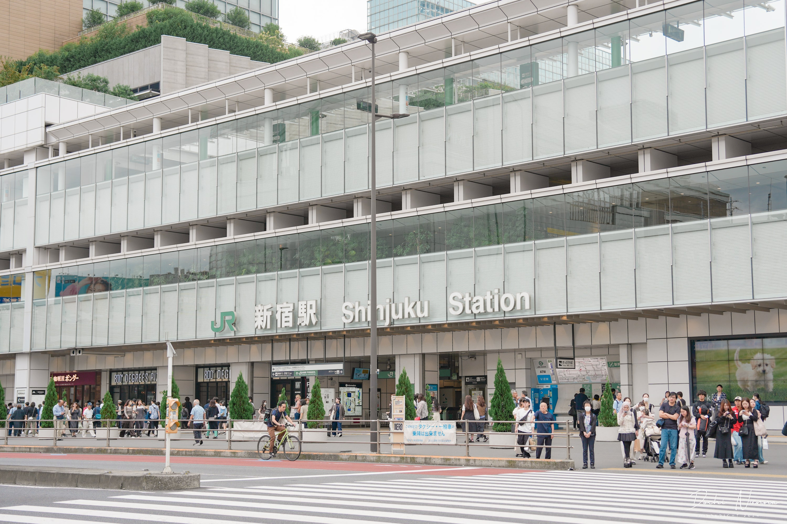 成田エクスプレス(N'EX)の予約方法・乗り方ガイド！新宿・東京駅へのアクセス比較