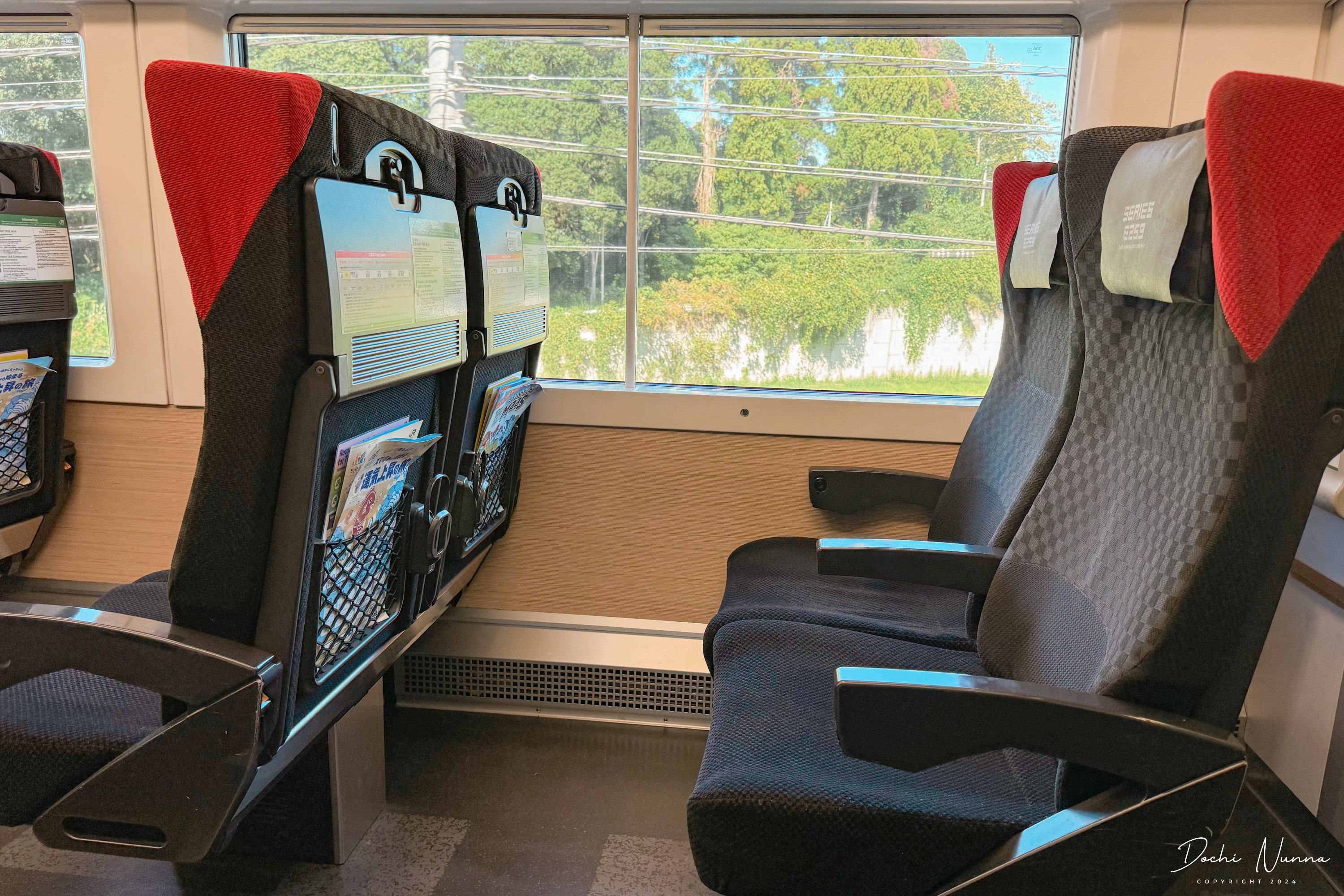 成田エクスプレス(N'EX)の予約方法・乗り方ガイド！新宿・東京駅へのアクセス比較