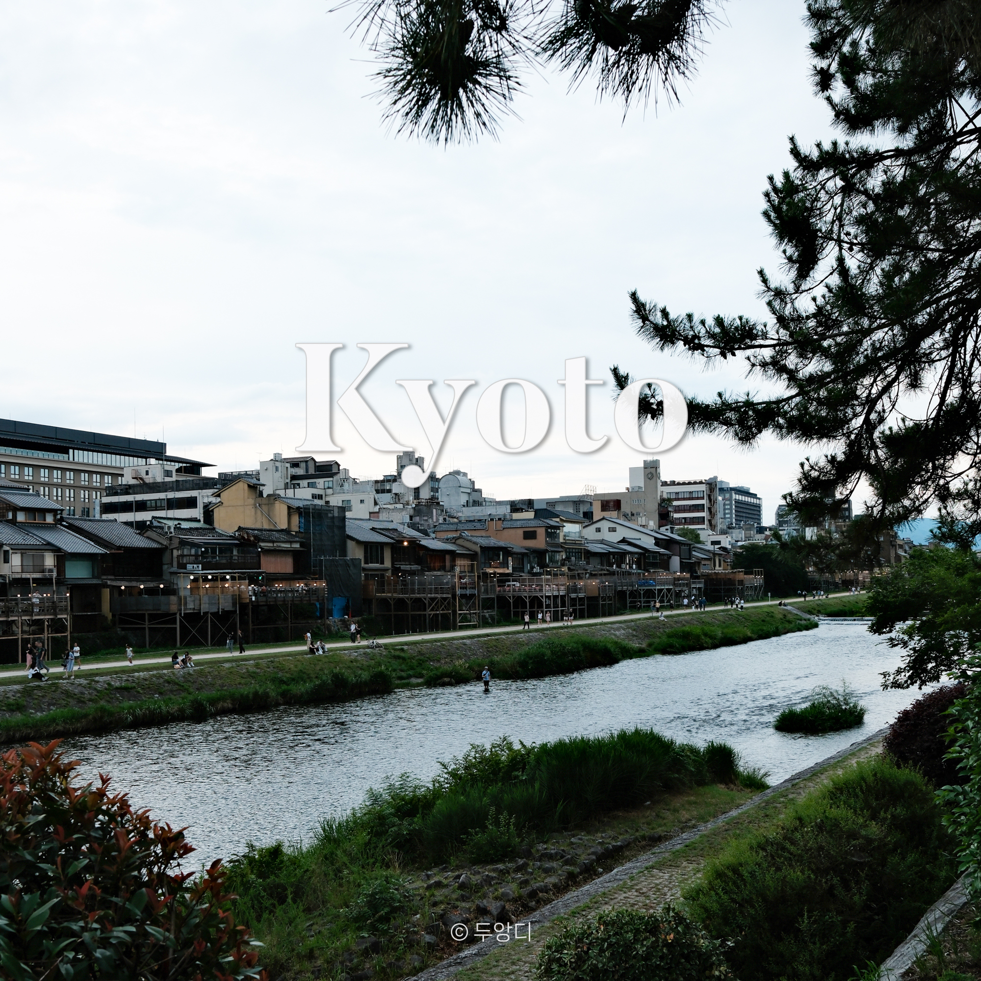 大阪から京都へのアクセス徹底解説！JR・新幹線・お得なパス【2026年最新版】