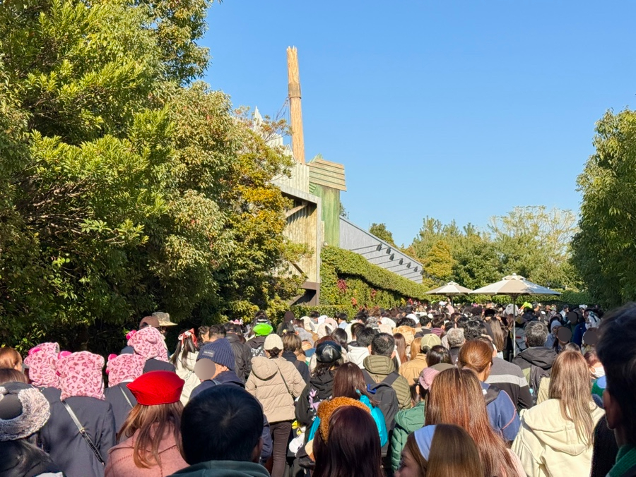 【2026年最新】USJチケット＆エクスプレス・パス完全ガイド！種類・値段・割引購入と朝イチ開園待ちレポ