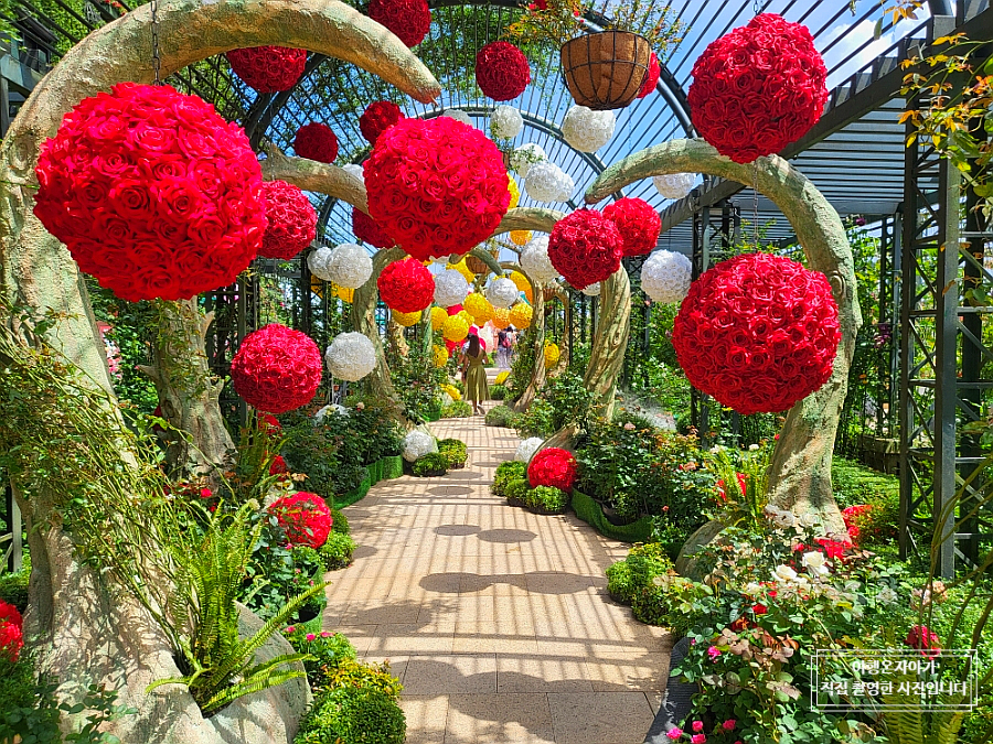 【2026年最新】ダナン・バナヒルズ入場券の当日割引チケット予約術！料金比較と必須の持ち物まとめ