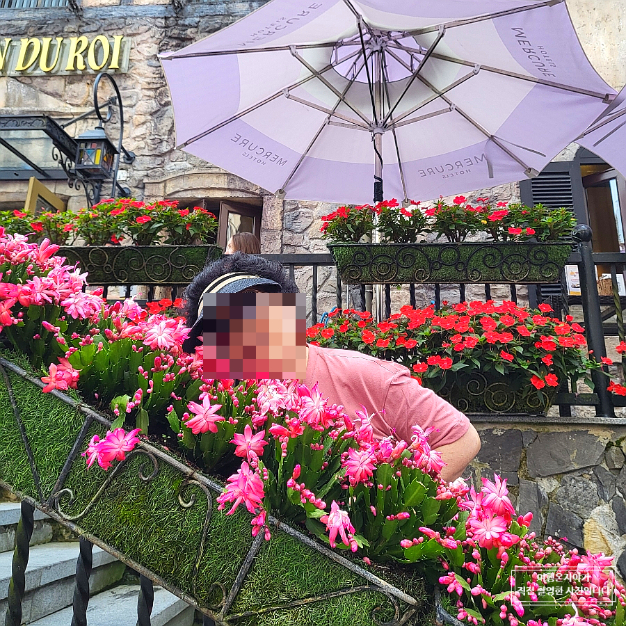 【2026年最新】ダナン・バナヒルズ入場券の当日割引チケット予約術！料金比較と必須の持ち物まとめ