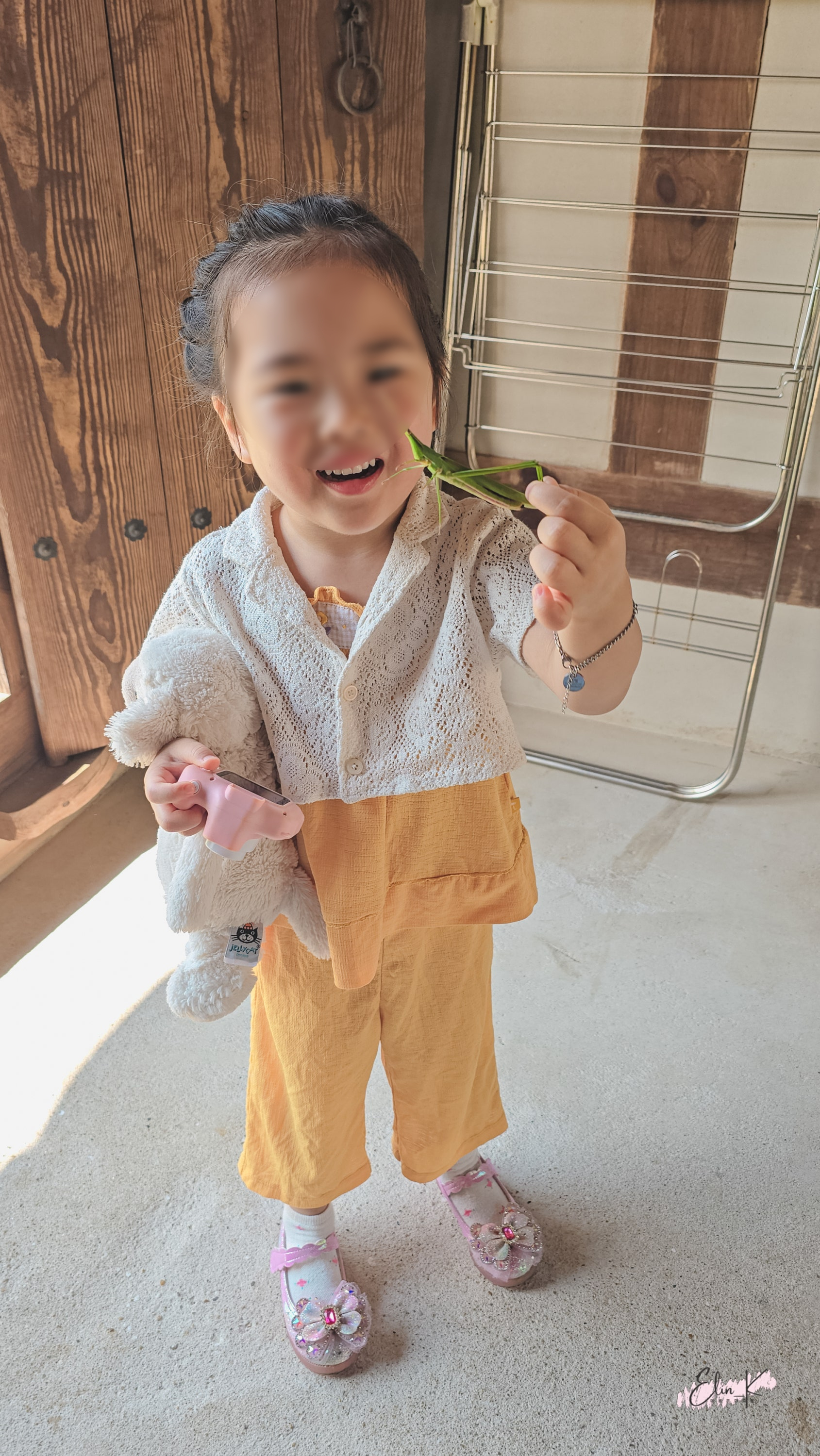Hotel entrance framed by nature