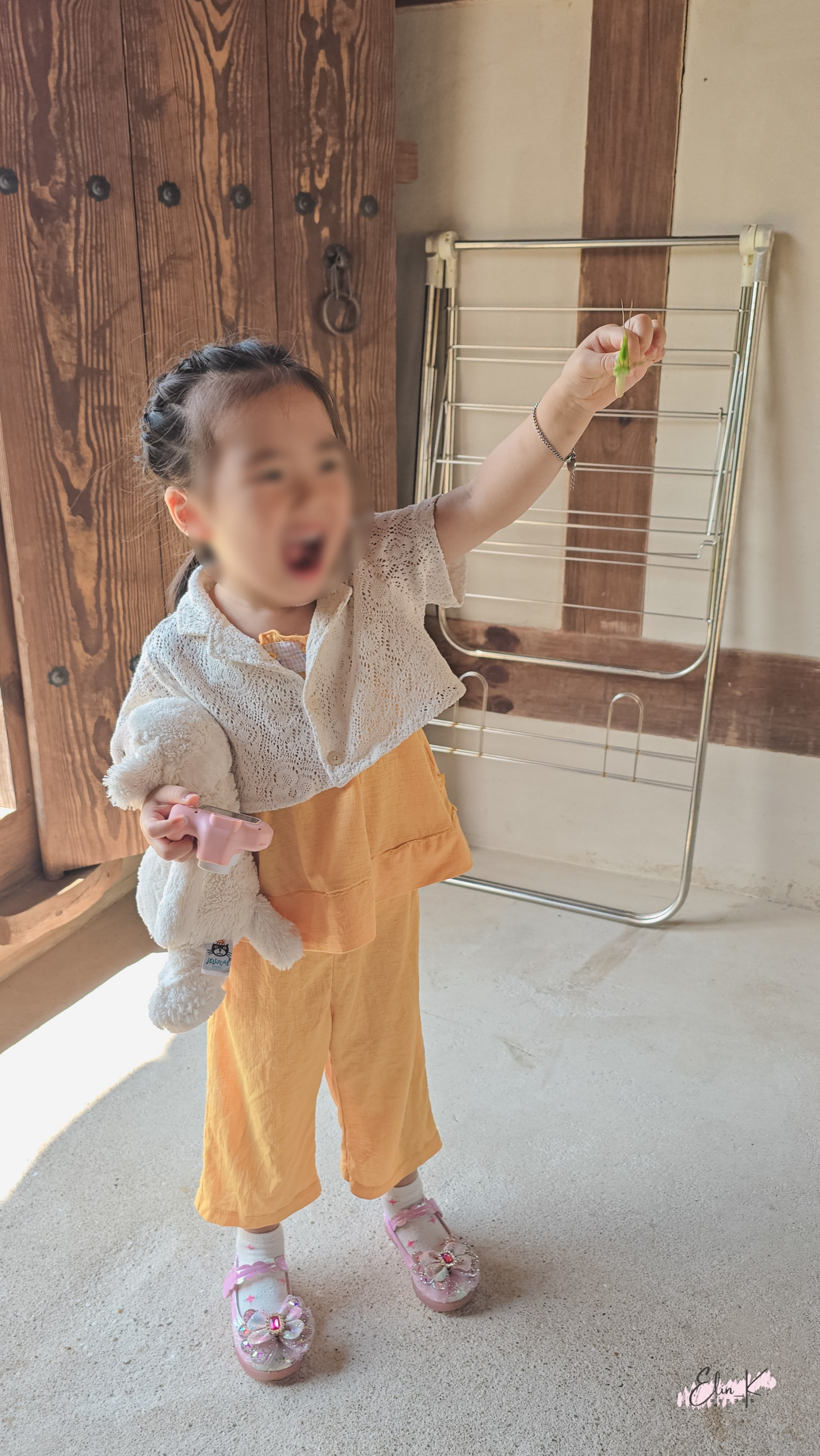 Traditional Korean architecture details