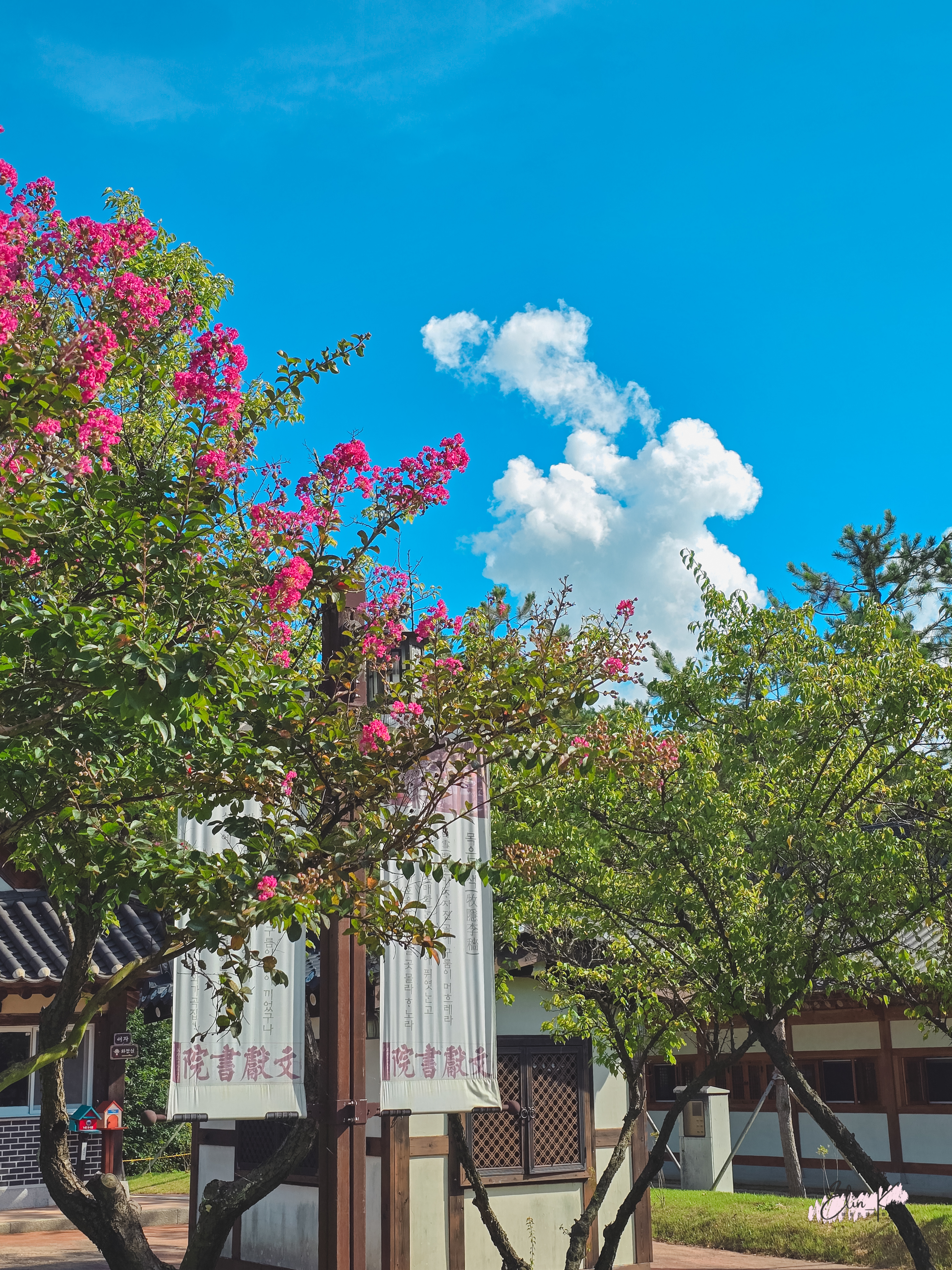 Lush greenery and trees at Munheon Seowon