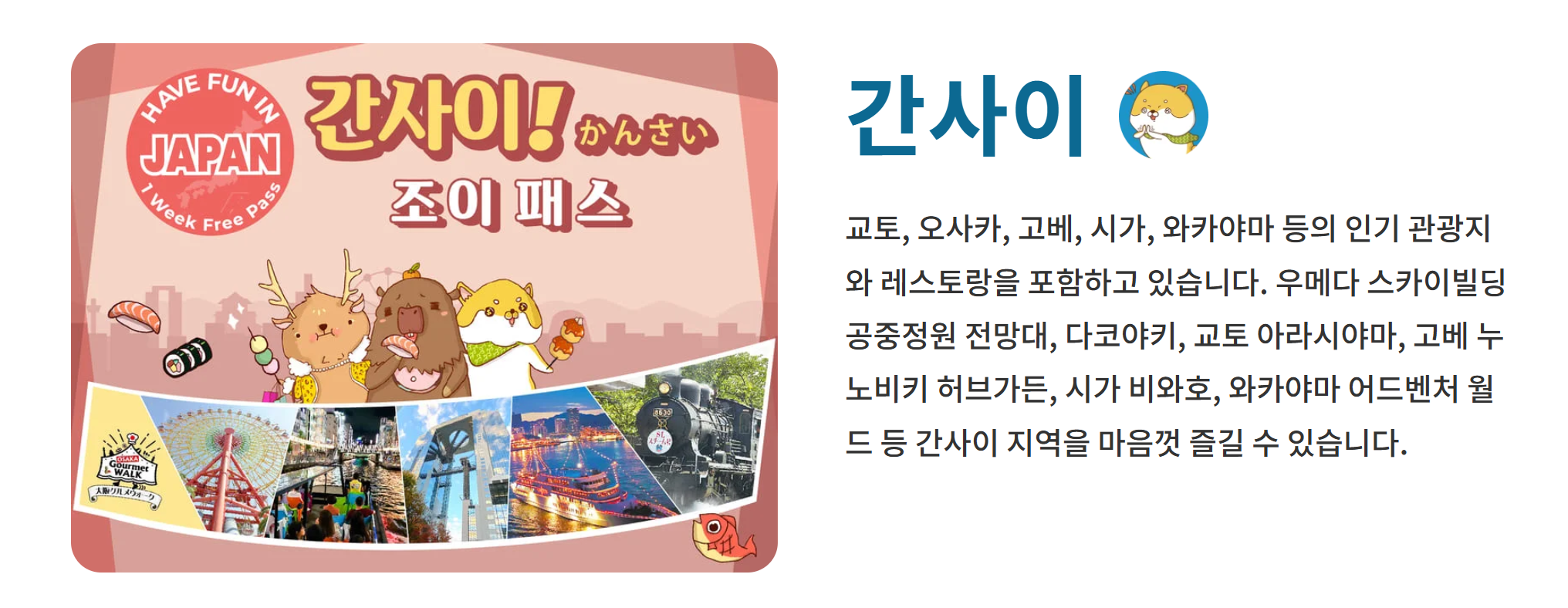 関西ジョイパスの案内