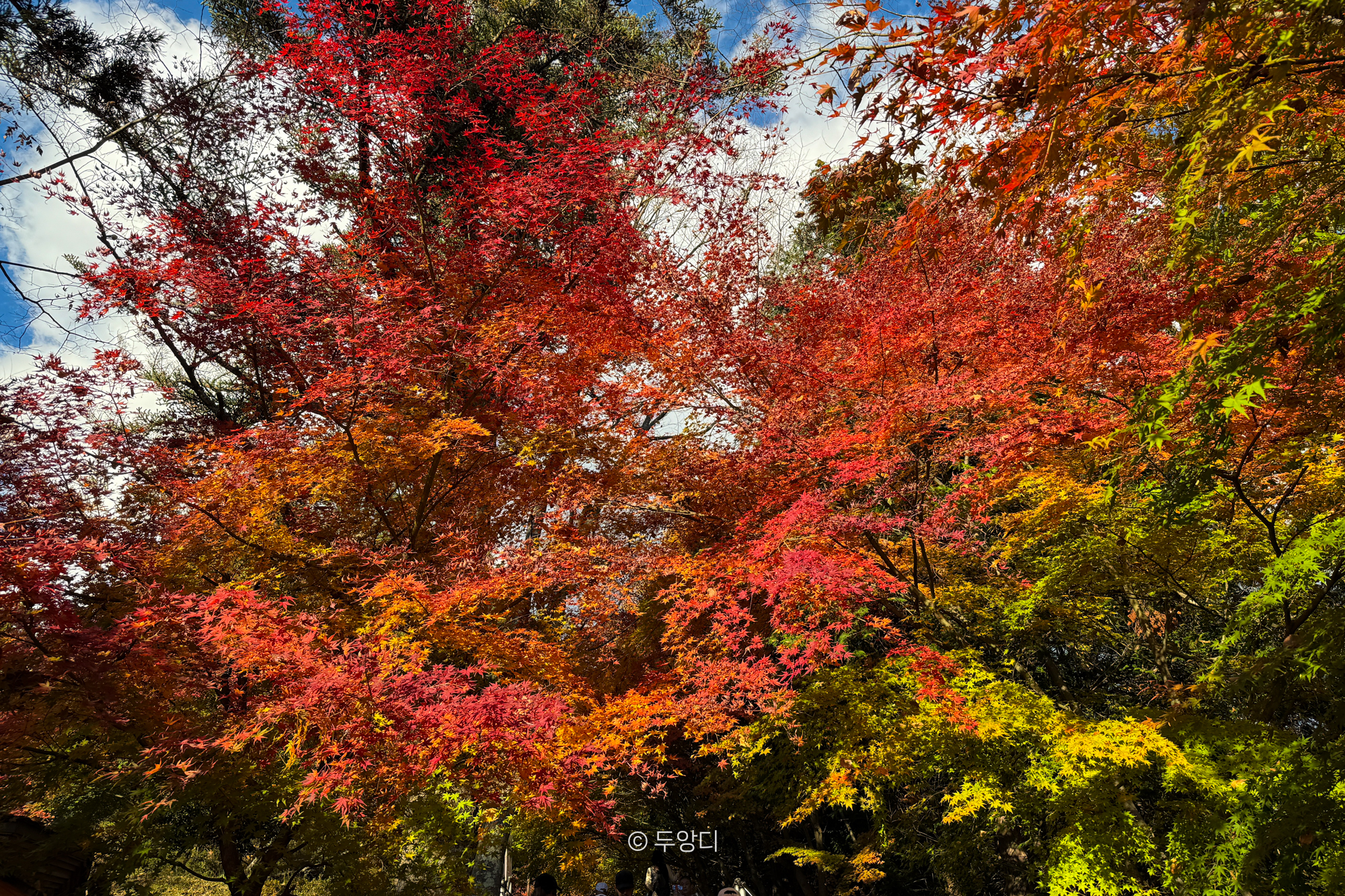 Sunset over Mount Fuji