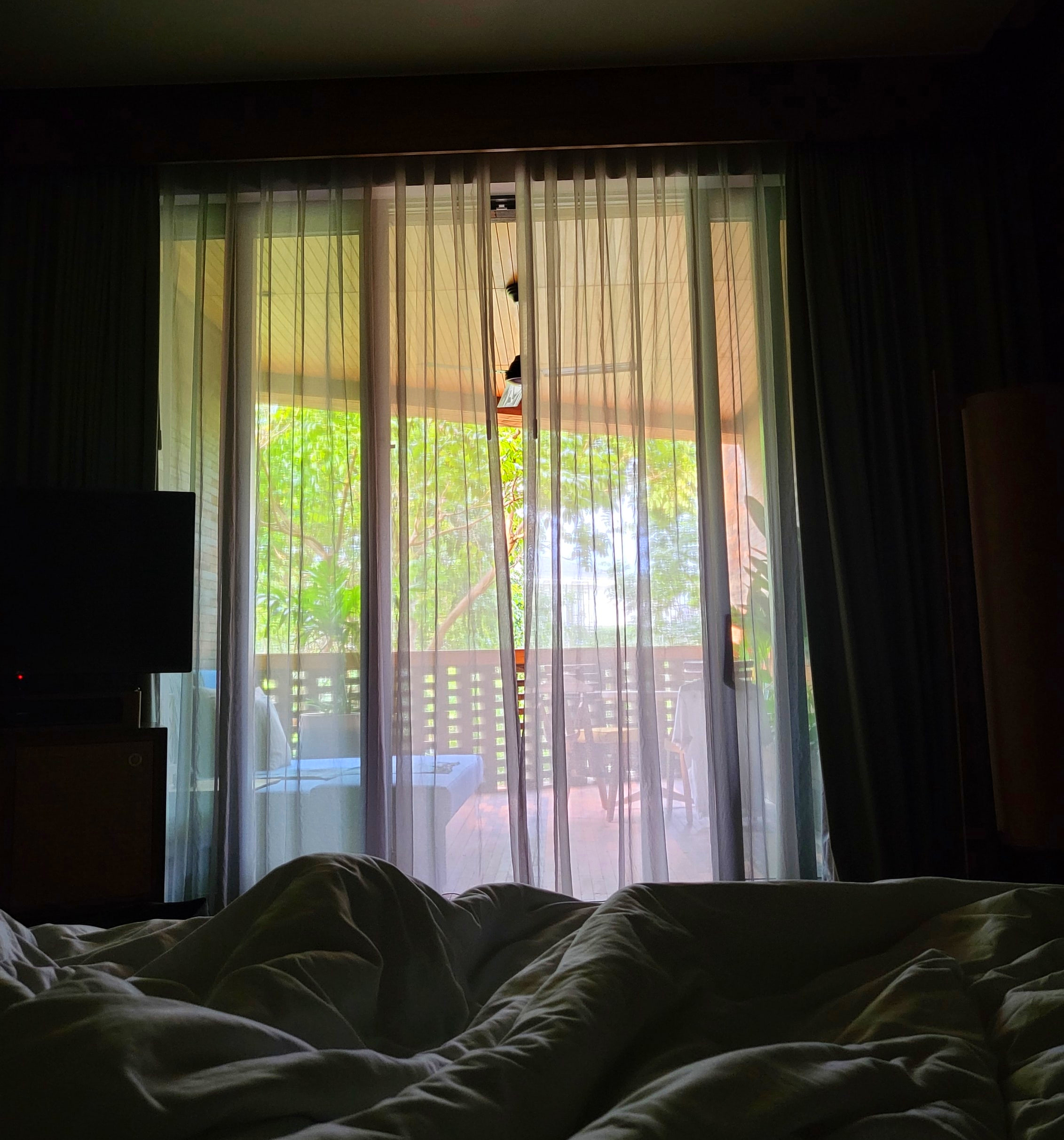 Morning View