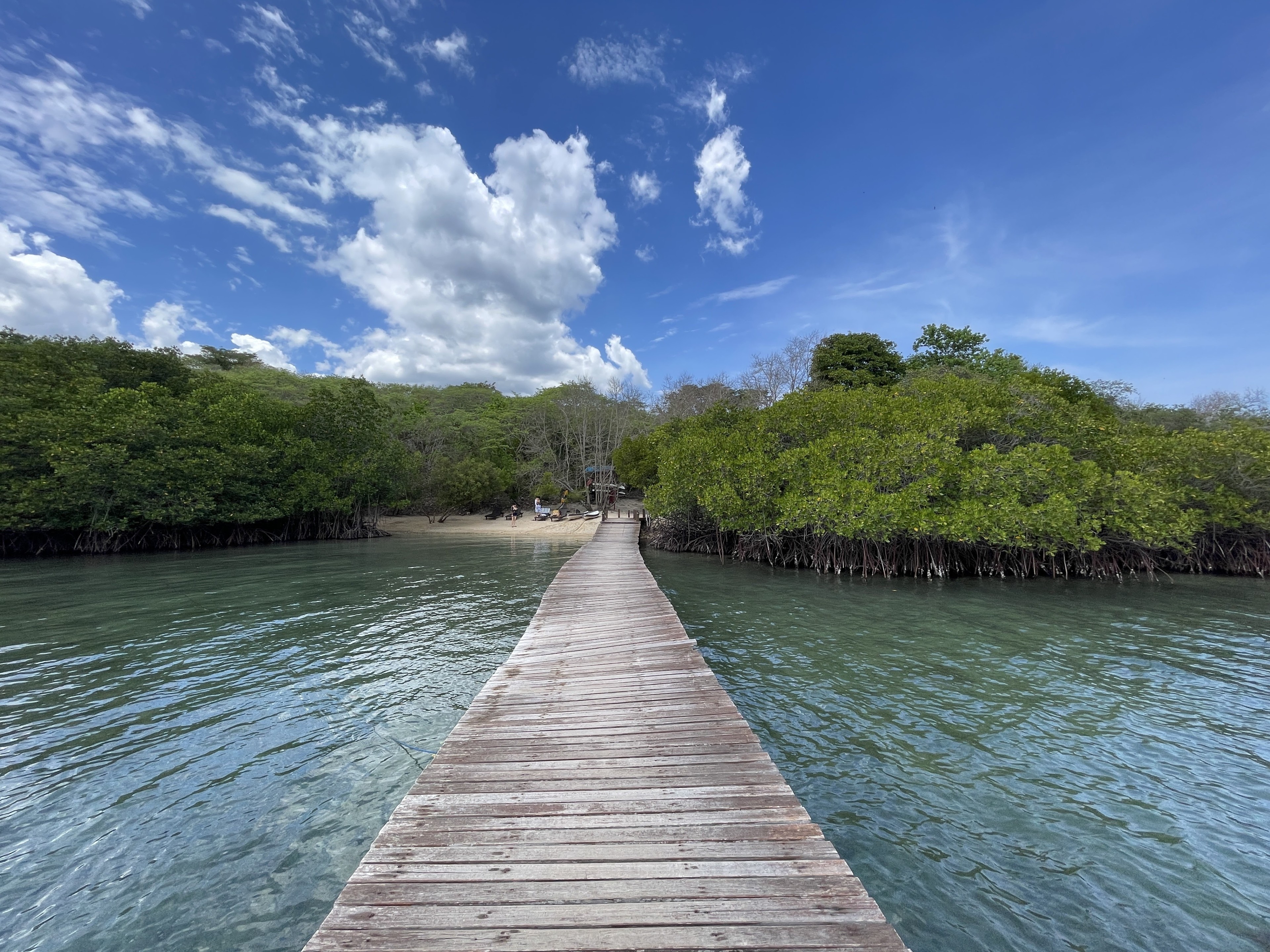 Menjangan Island Bali
