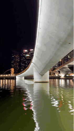 Merlion Park Night