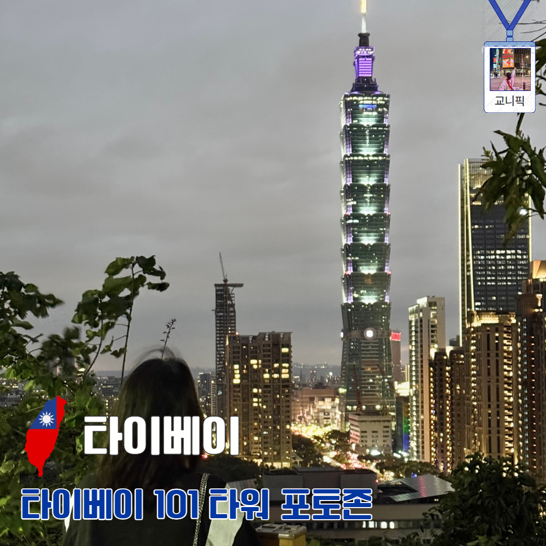 永春崗公園 台北101夜景レビュー2026|象山より快適な穴場撮影スポット