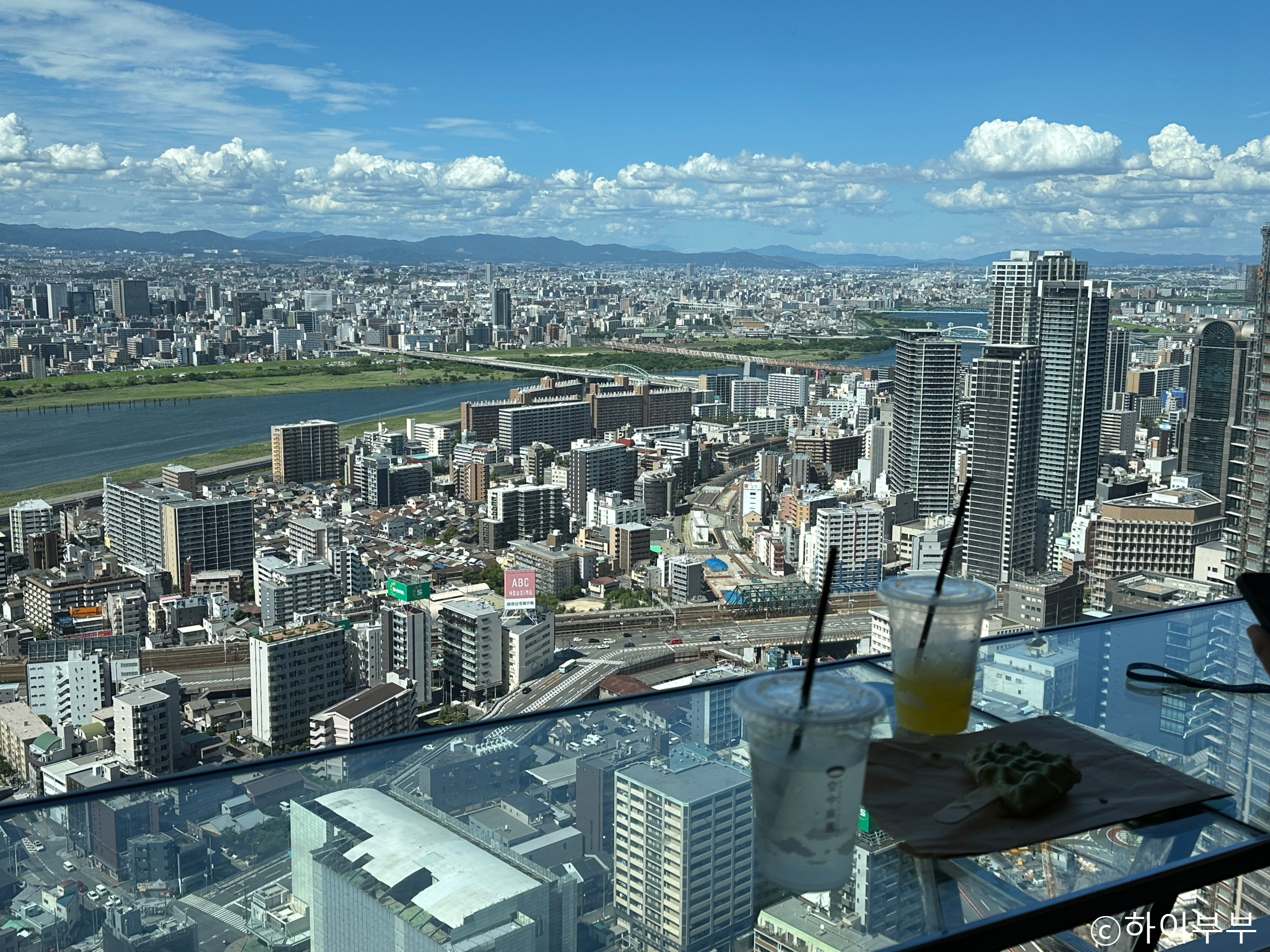 Kansai Joy Pass Guide 2026: Osaka Itinerary & Savings