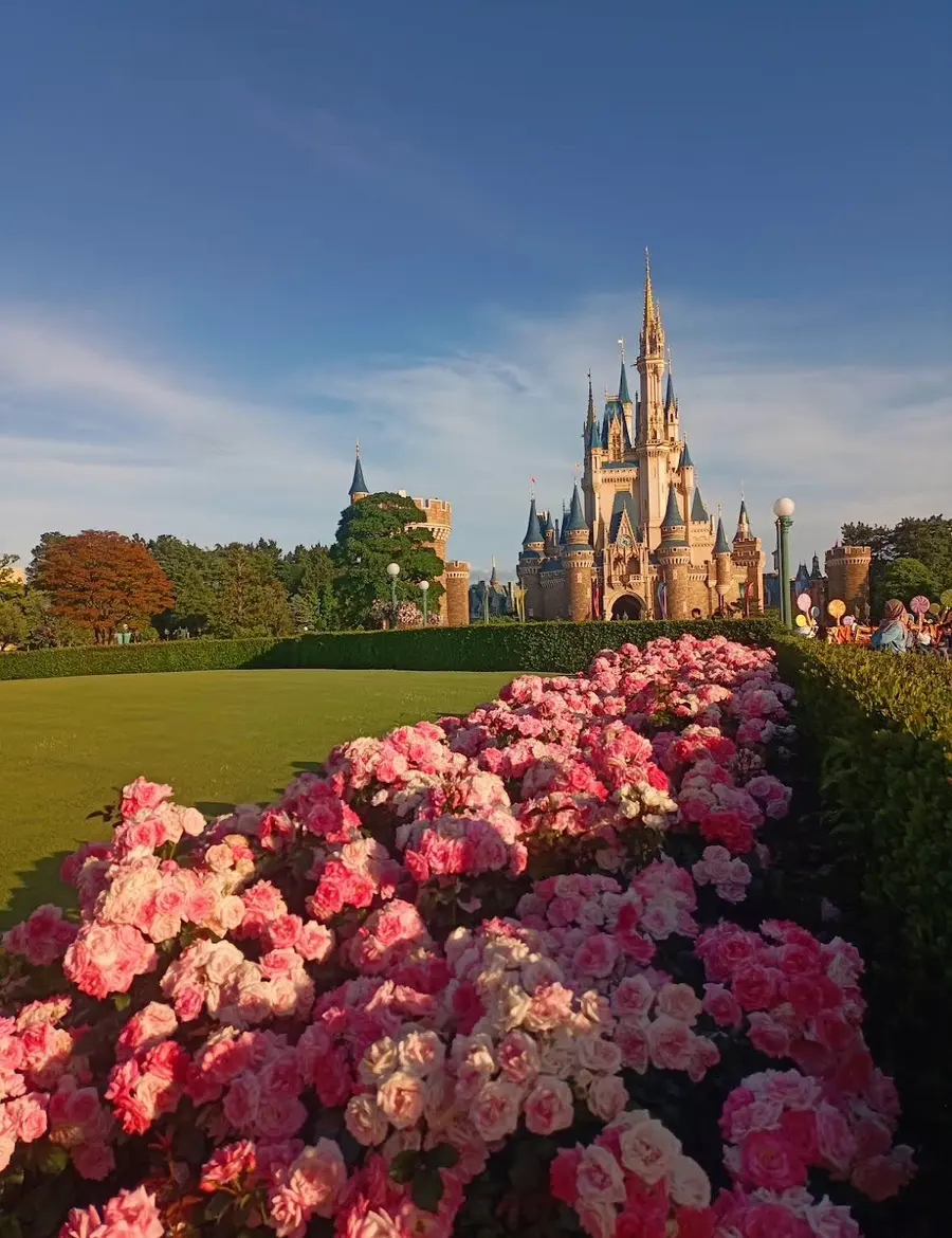 東京ディズニーランド チケット料金 2026|DPA攻略・シーとの違い