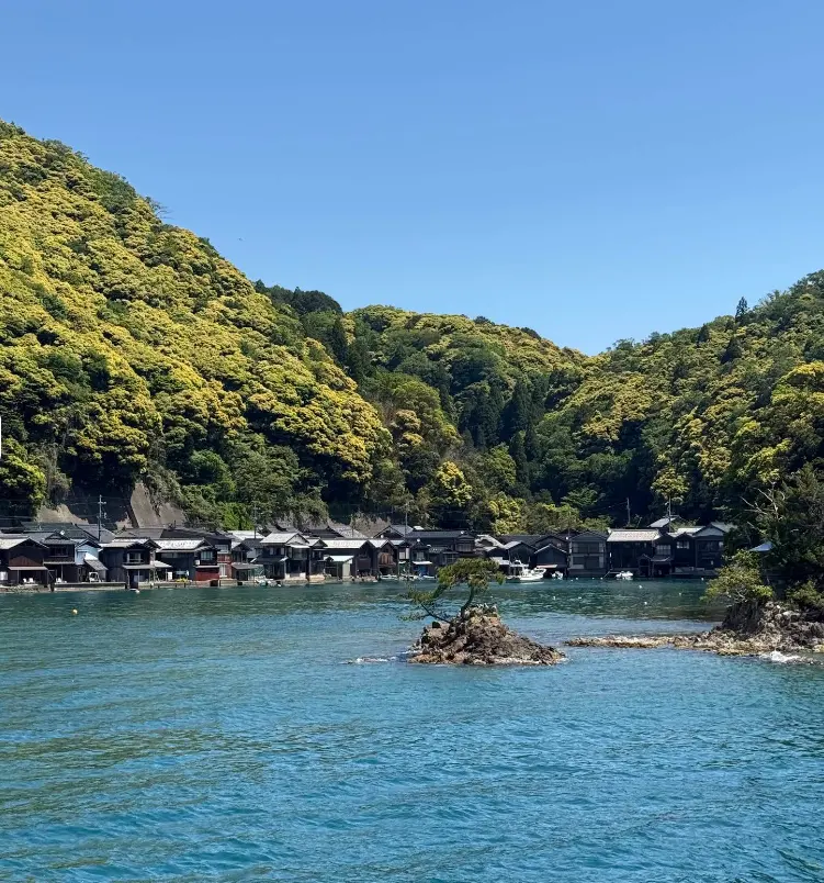 天橋立・伊根の舟屋 バスツアー体験記 2026|大阪発で巡る京都の絶景ルート