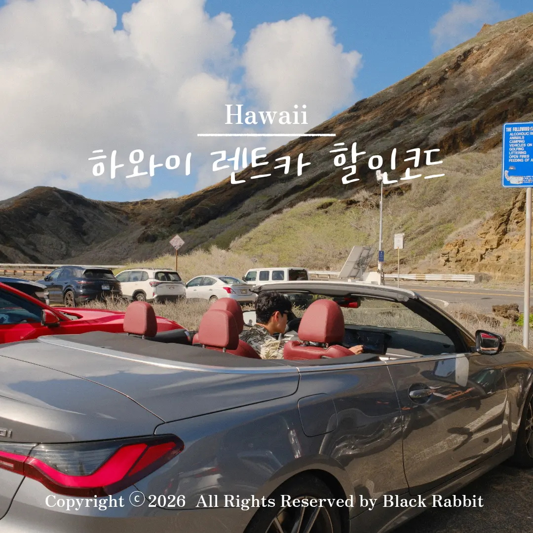 하와이 와이키키 렌트카 할인 예약 비용 렌터카 가격 식스트 bmw 4시리즈 오픈카 후기
