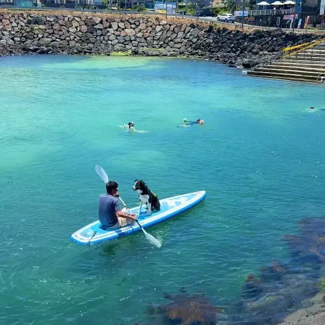 Jeju Island Itinerary 2026: 9 Hidden Gems & Foodie Spots