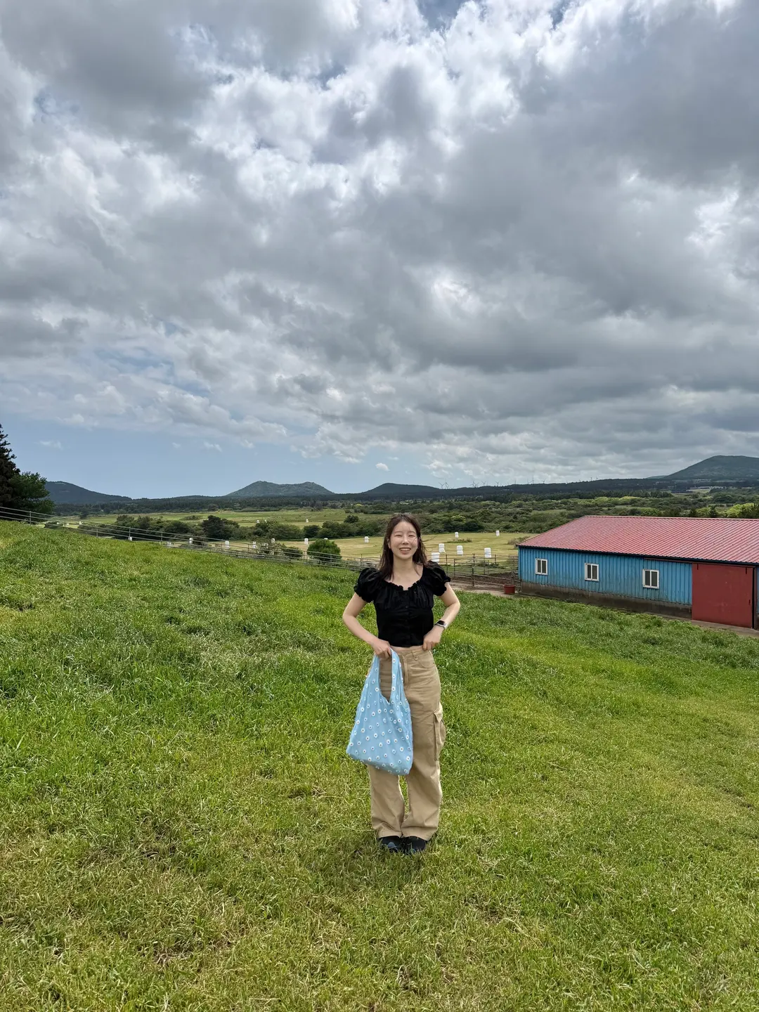 Jeju Horses