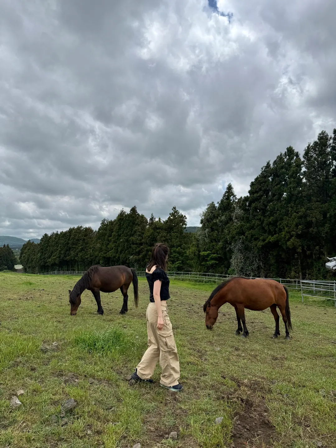 Gaeoreum Pasture