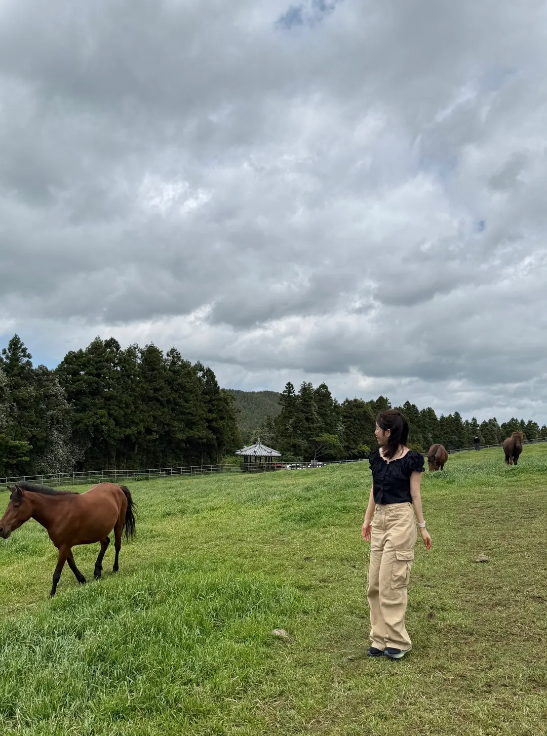 Scenic fields in Jeju