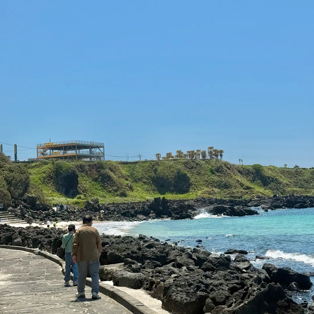 Jeju Family Itinerary 2026: 3 Days with Parents