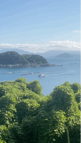 伊根湾のパノラマ