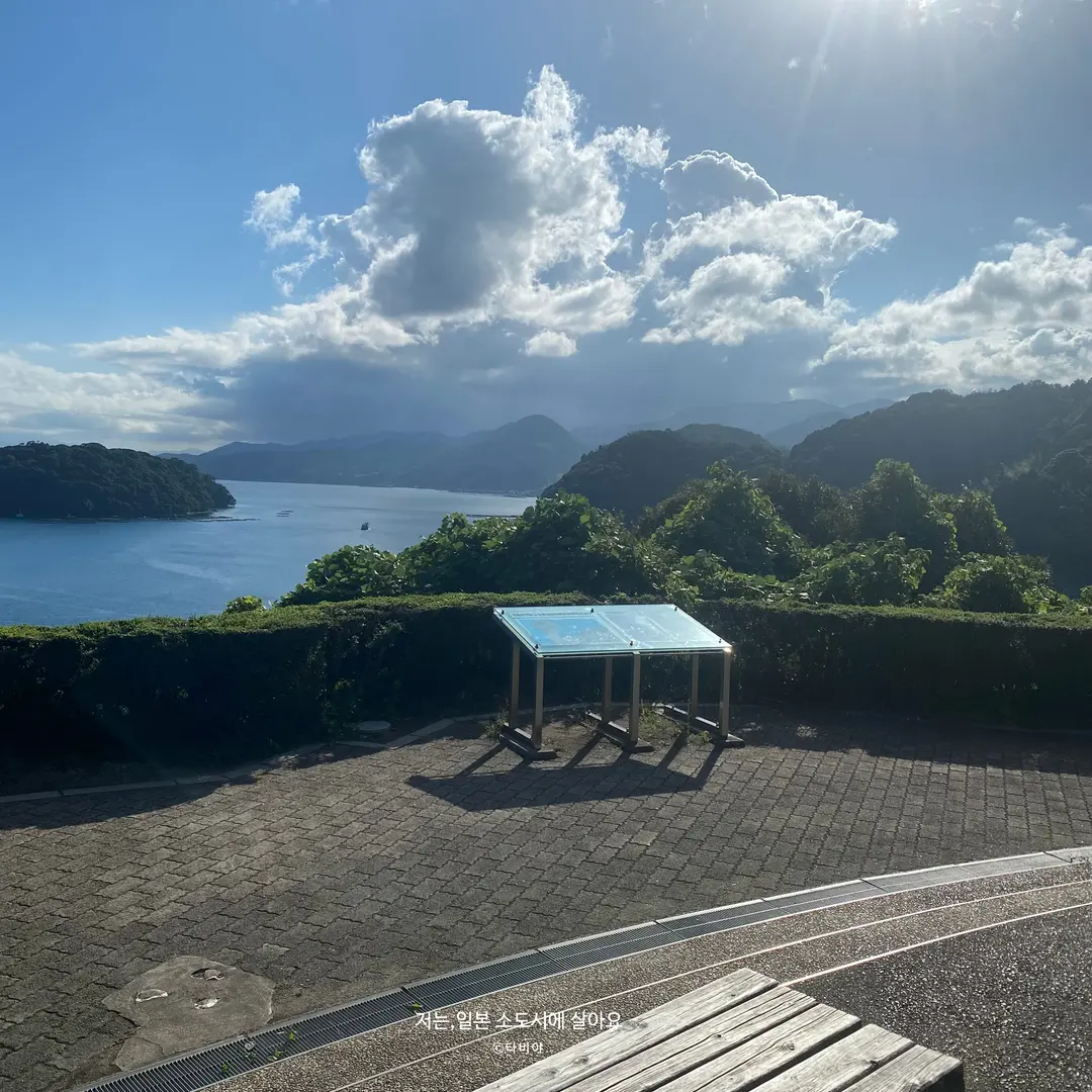 穏やかな伊根湾の景色