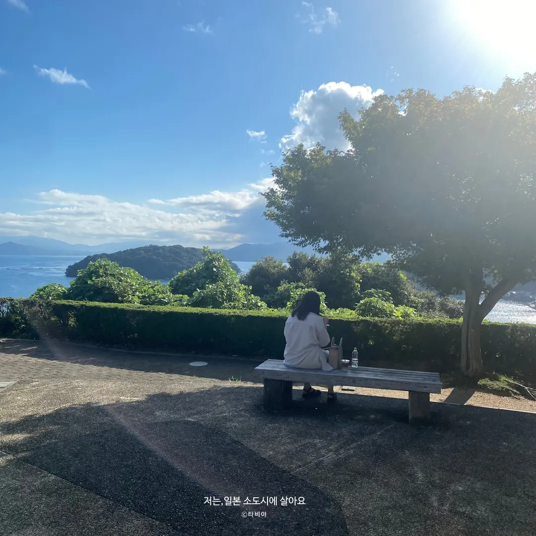 静かな伊根の海