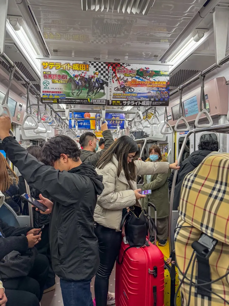 ภายในรถไฟ Narita Sky Access