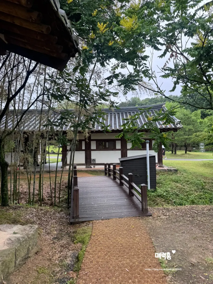 Lush green foliage in Juknokwon