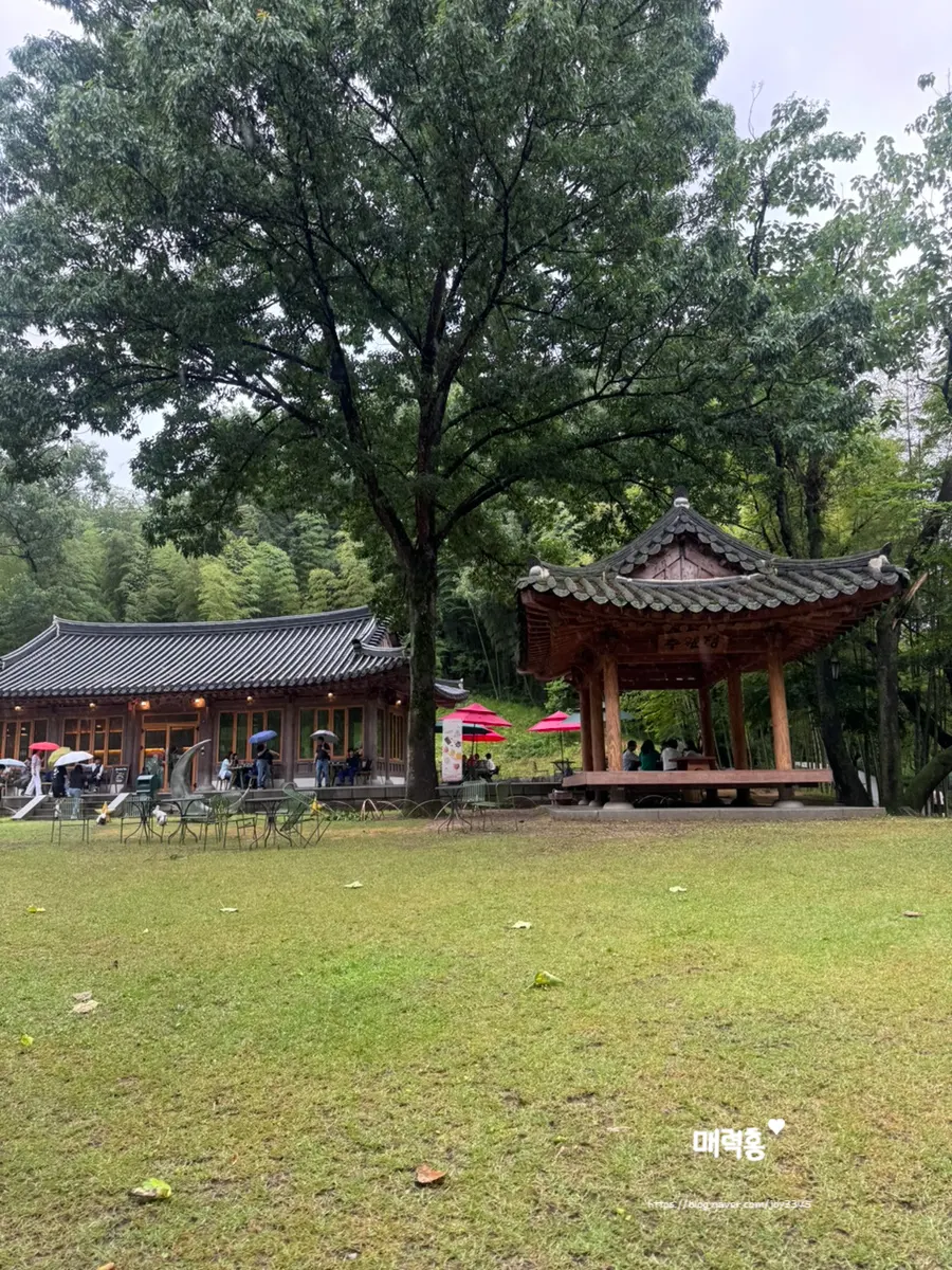 Chuwoldang Hanok Cafe in Juknokwon