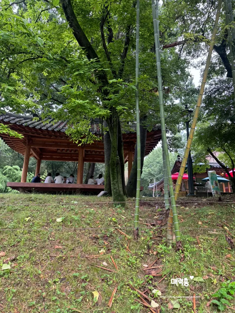 Traditional wooden pavilion in the forest