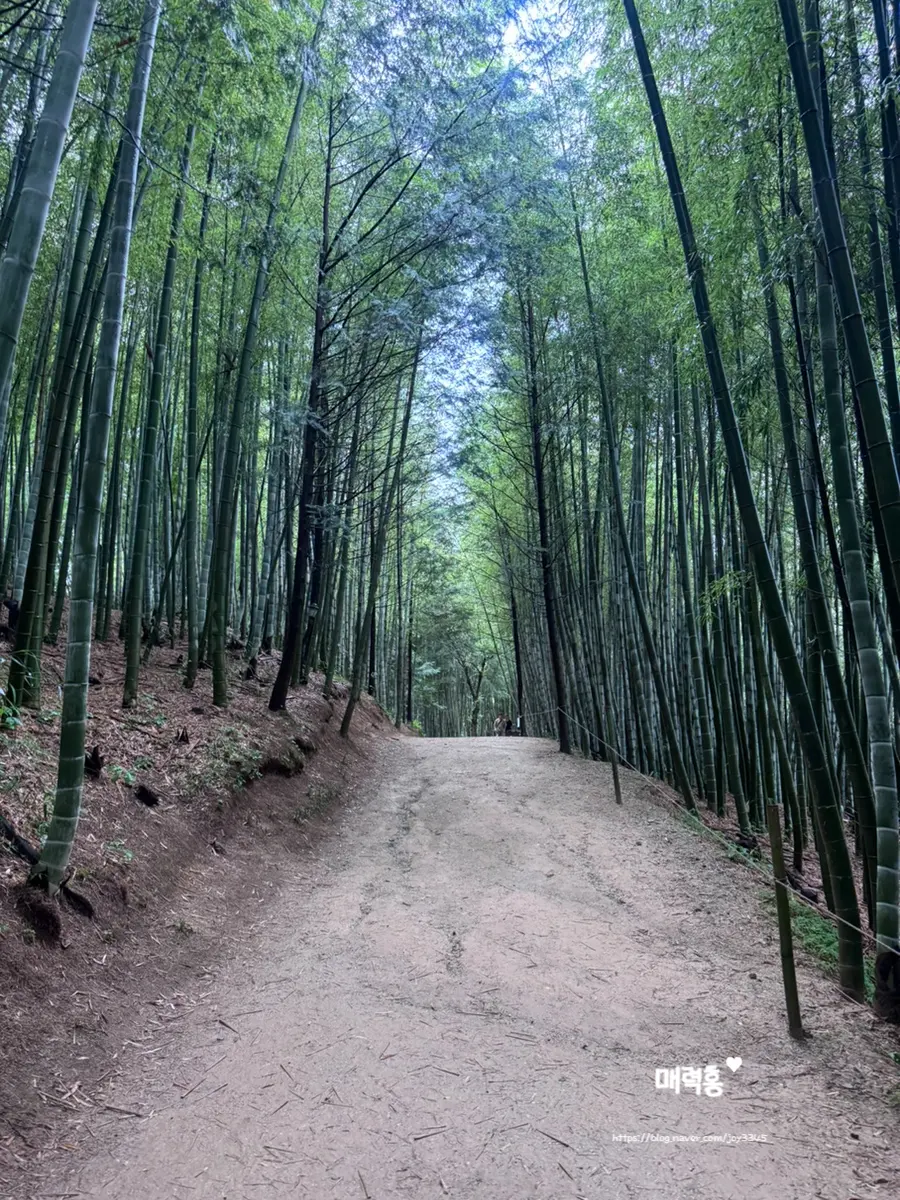 Panoramic view of Juknokwon in the light rain