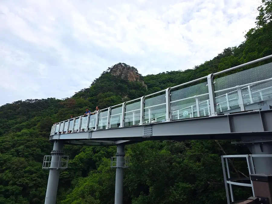 Walking to Skywalk Observatory