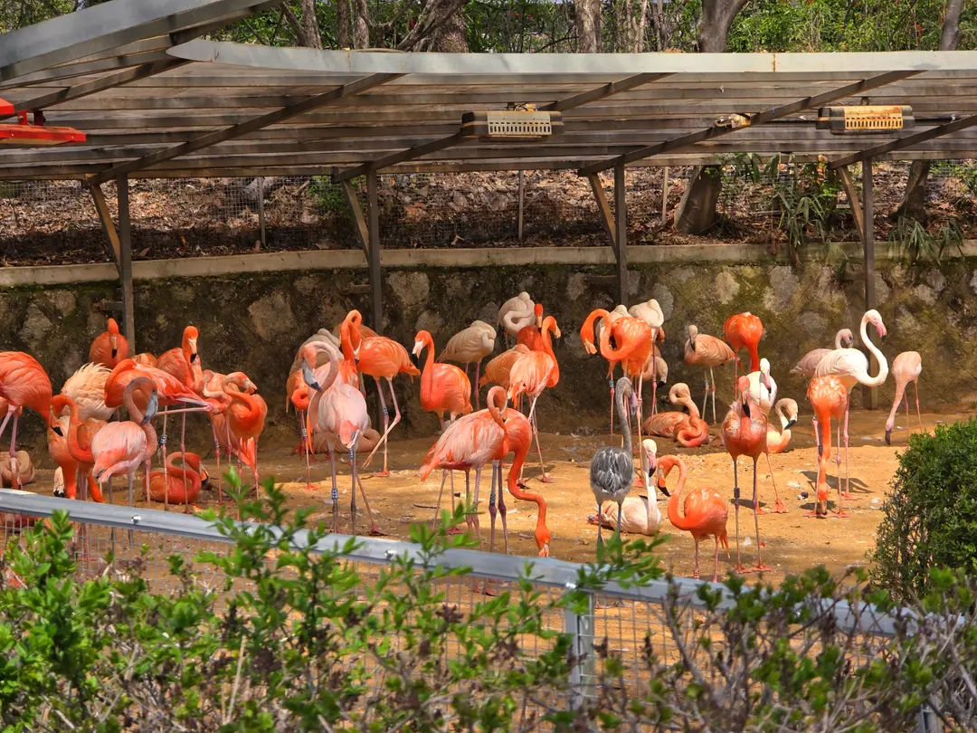 Seoul Grand Park Zoo