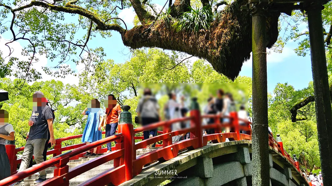 Arched Bridge