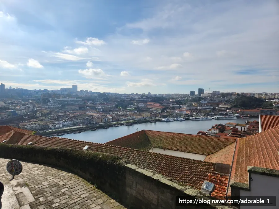 View of Douro River and Wineries