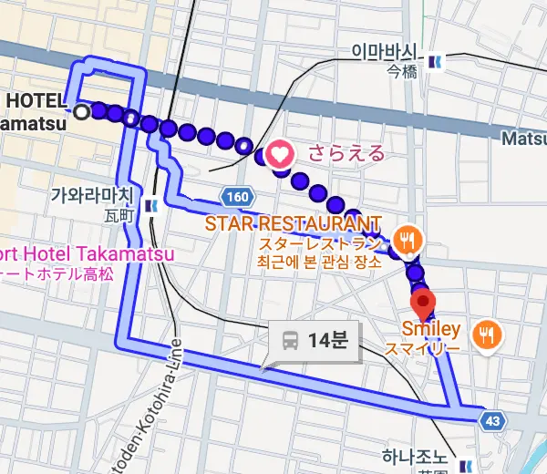 Walking to Udon Baka Ichidai