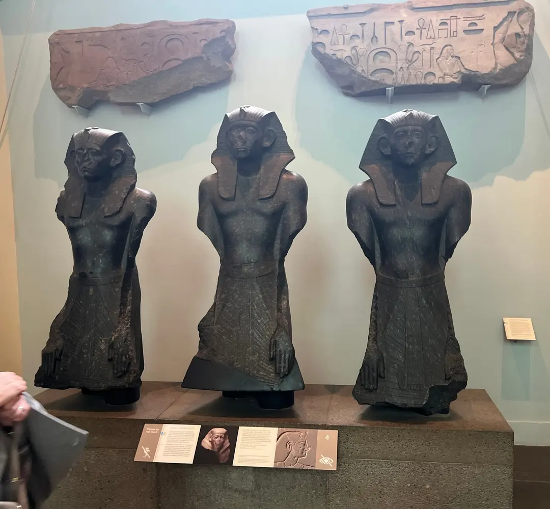 Cat Mummy