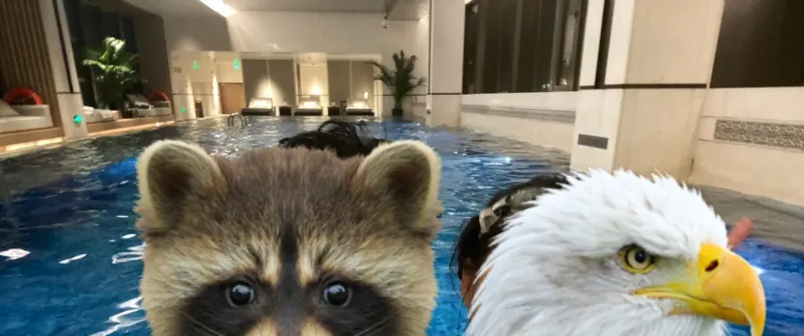 シャワー室とベッド