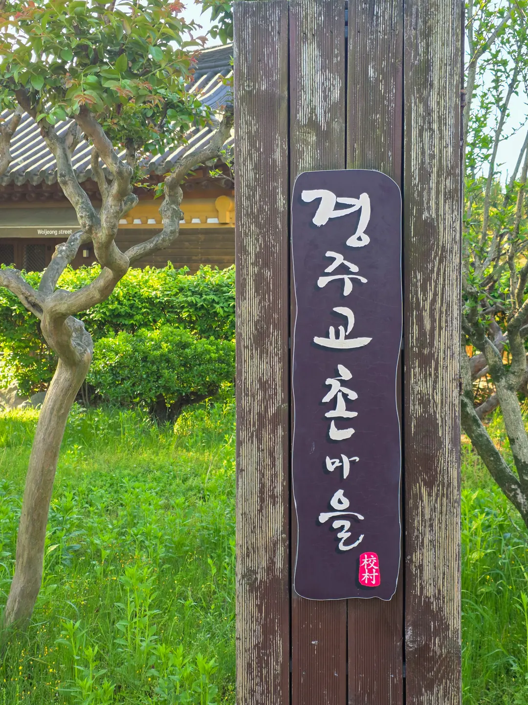 校村韓屋村ののどかな路地裏