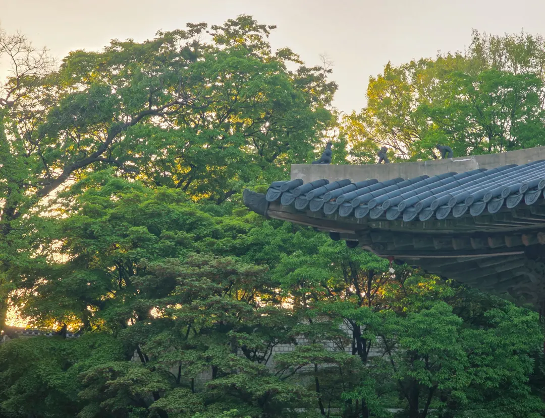 静寂に包まれる昌慶宮