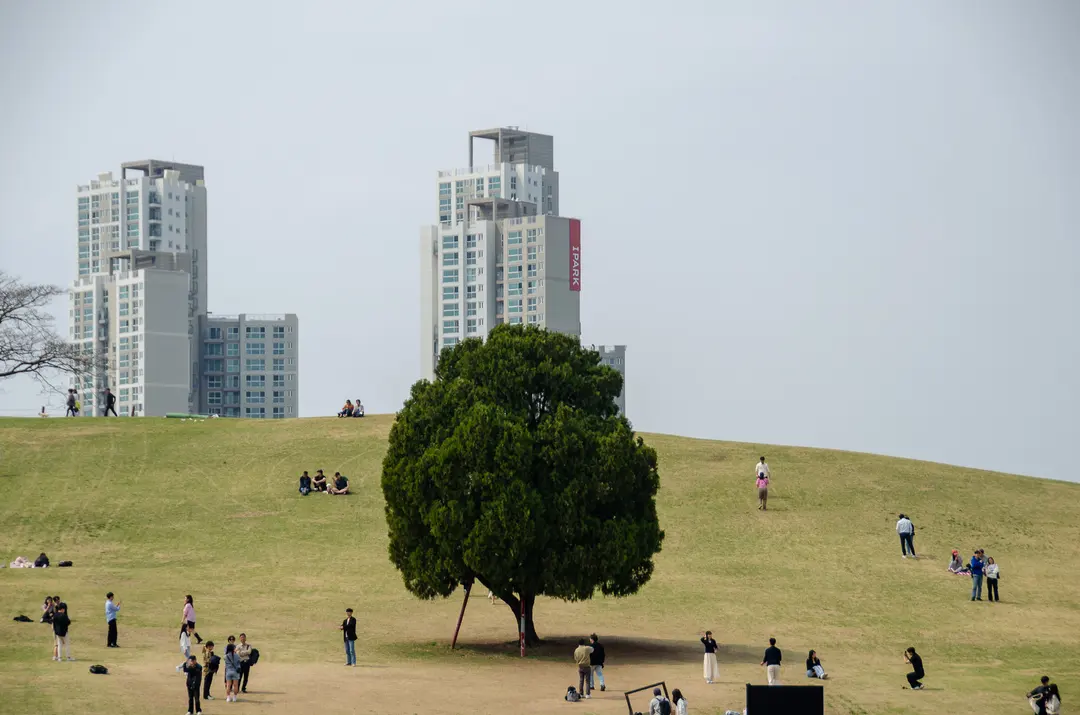 Olympic Park Parking Lot