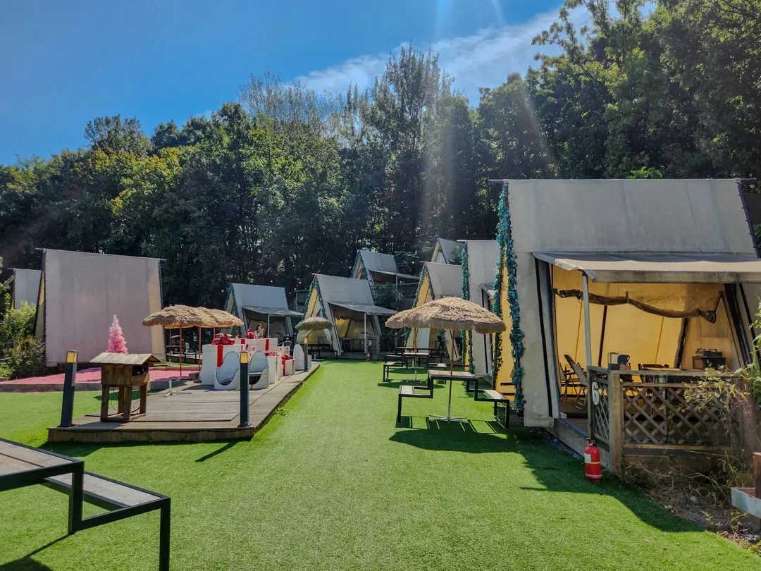 キャンプ場の全景