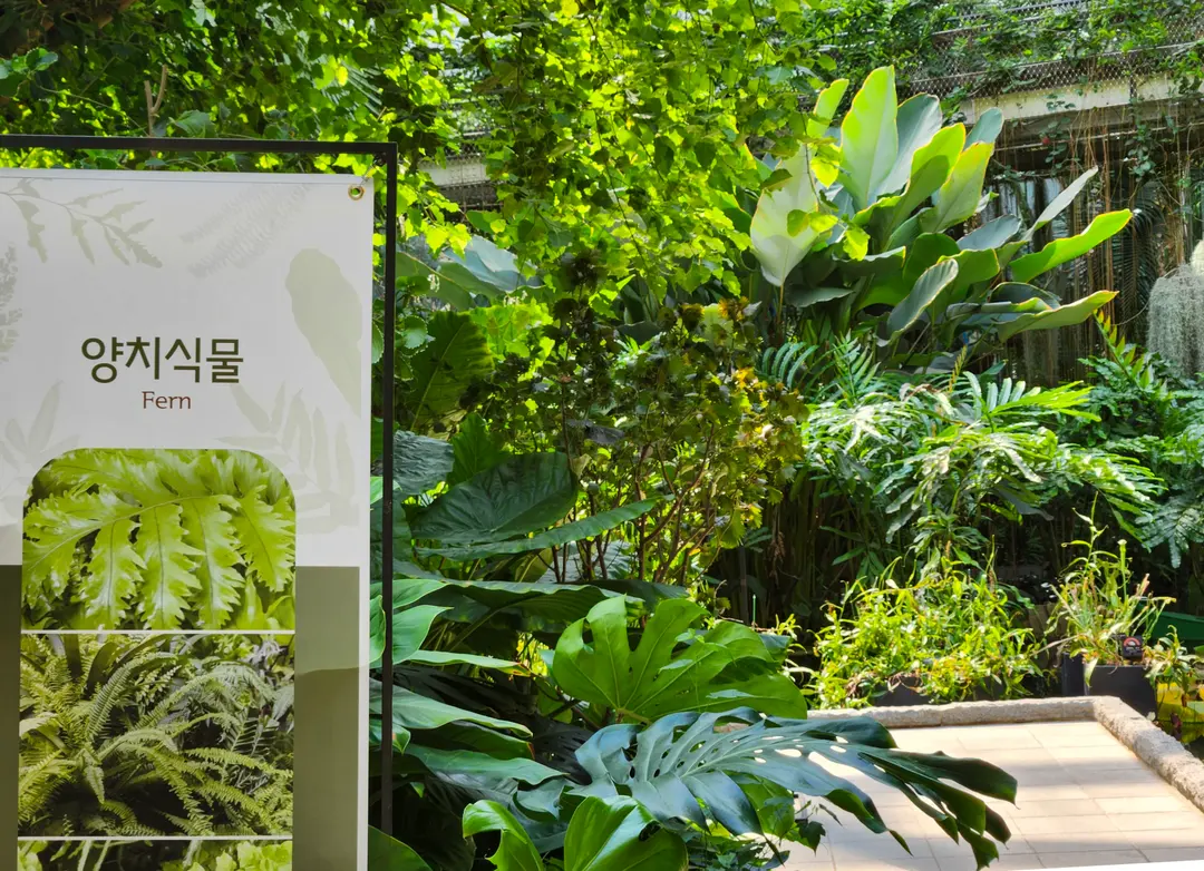 Lush tropical plants