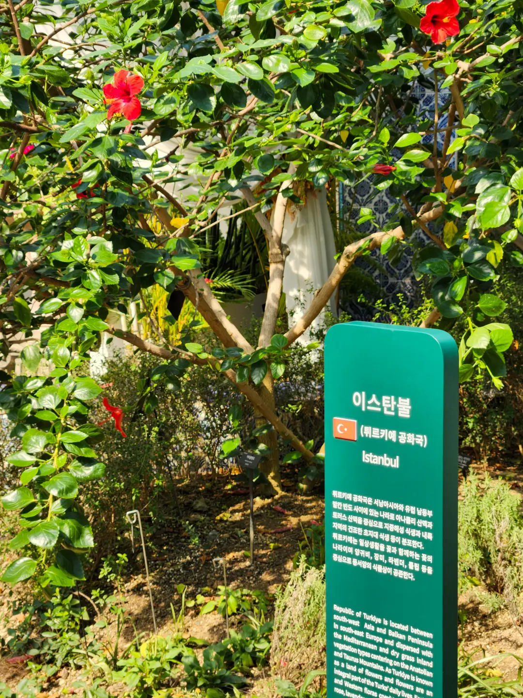 Educational exhibits