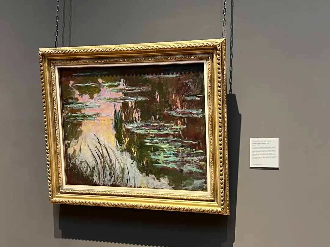 Monet Water Lilies Close-up