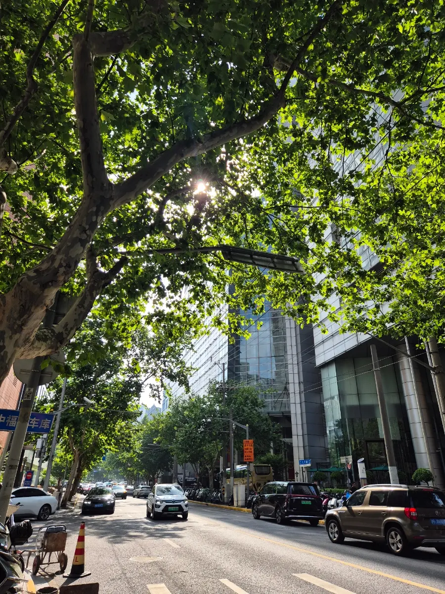 People's Square neighborhood